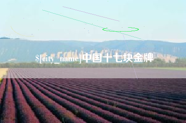 临夏中国十七块金牌