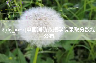 临夏中国消防救援学院录取分数线公布