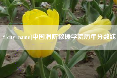 临夏中国消防救援学院历年分数线