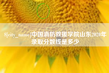 临夏中国消防救援学院山东2020年录取分数线是多少