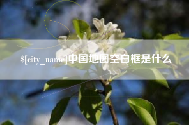 临夏中国地图空白框是什么