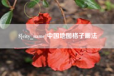 临夏中国地图格子画法