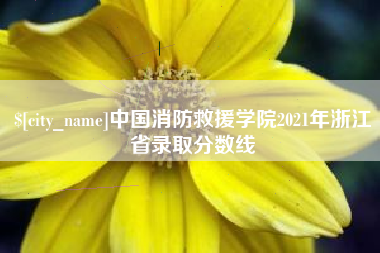 临夏中国消防救援学院2021年浙江省录取分数线