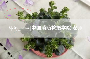 临夏中国消防救援学院 老师