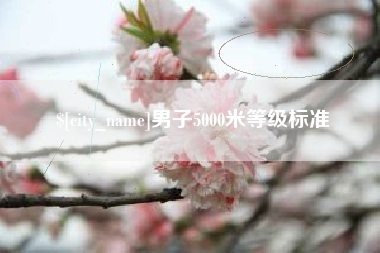 临夏男子5000米等级标准