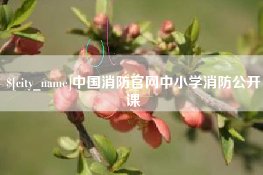 临夏中国消防官网中小学消防公开课