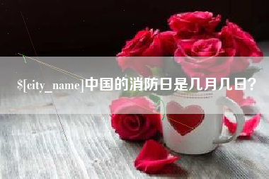 临夏中国的消防日是几月几日？