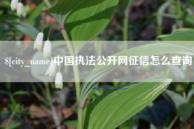临夏中国执法公开网征信怎么查询