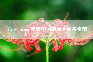 临夏查看中国地图全图各省市