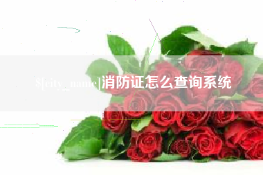 临夏消防证怎么查询系统