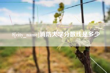 临夏消防大学分数线是多少