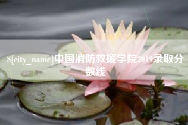 临夏中国消防救援学院2019录取分数线