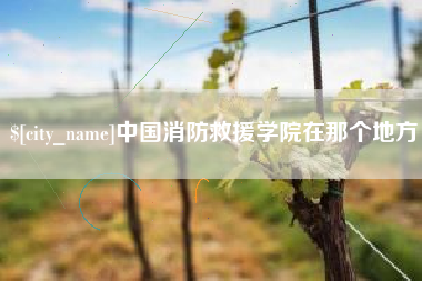 临夏中国消防救援学院在那个地方