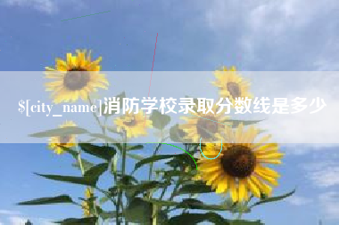 临夏消防学校录取分数线是多少