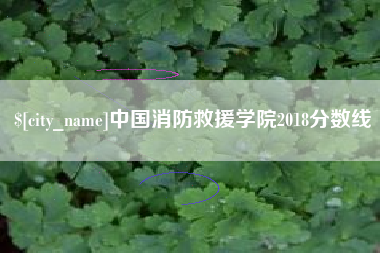 临夏中国消防救援学院2018分数线