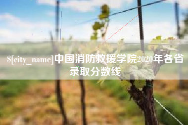 临夏中国消防救援学院2020年各省录取分数线