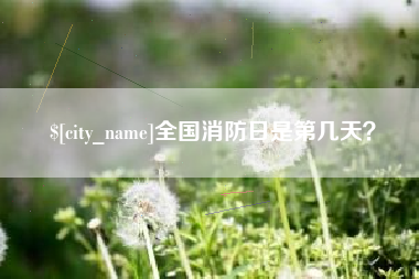 临夏全国消防日是第几天？