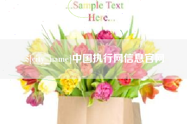 临夏中国执行网信息官网