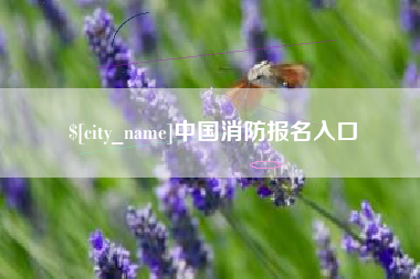 临夏中国消防报名入口