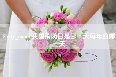 临夏我国消防日是哪一天每年的哪一天