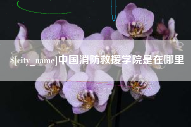 临夏中国消防救援学院是在哪里