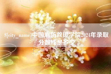 临夏中国消防救援学院2024年录取分数线是多少