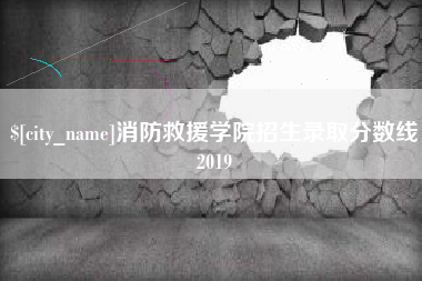 临夏消防救援学院招生录取分数线2019