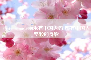 临夏5000米有中国人吗-都有中国人坚毅的身影