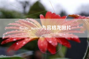 临夏九宫格龙图片
