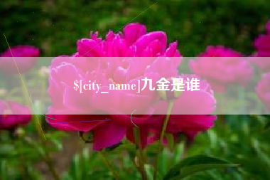 临夏九金是谁