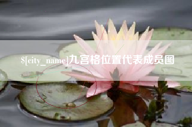 临夏九宫格位置代表成员图