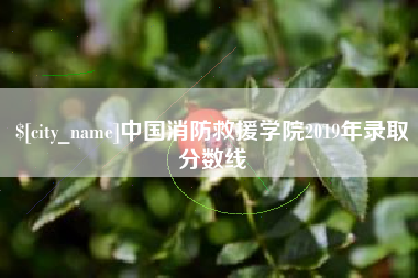 临夏中国消防救援学院2019年录取分数线