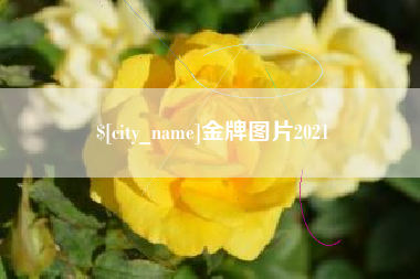 临夏金牌图片2021