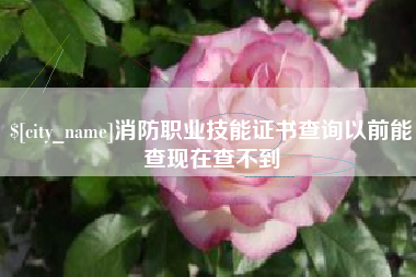 临夏消防职业技能证书查询以前能查现在查不到