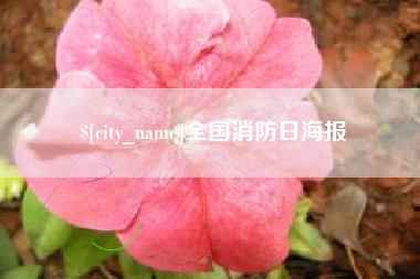 临夏全国消防日海报