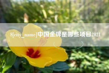 临夏中国金牌是哪些项目2021