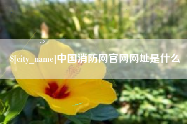 临夏中国消防网官网网址是什么