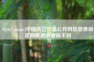 临夏中国执行信息公开网信息查询官网限消中查询不到