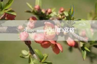 临夏2021年9宫格