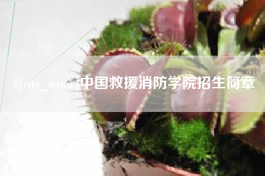 临夏中国救援消防学院招生简章