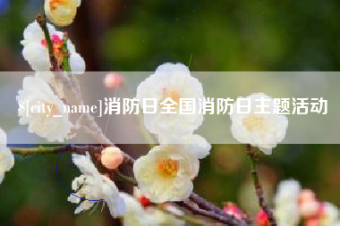 临夏消防日全国消防日主题活动