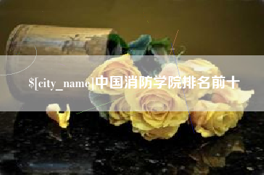 临夏中国消防学院排名前十