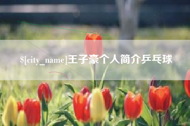 临夏王子豪个人简介乒乓球