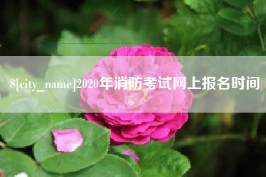 临夏2020年消防考试网上报名时间