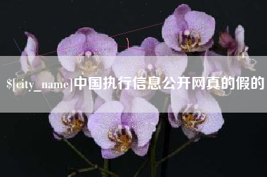 临夏中国执行信息公开网真的假的