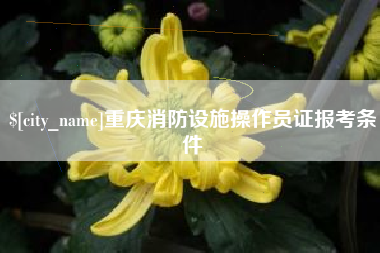 临夏重庆消防设施操作员证报考条件