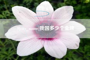 临夏我国多少个金牌