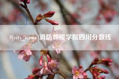 临夏消防救援学院四川分数线