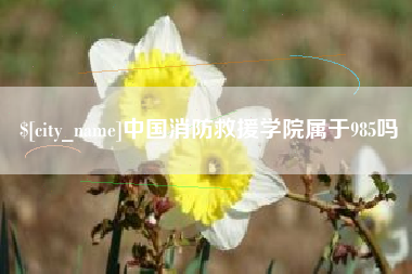 临夏中国消防救援学院属于985吗