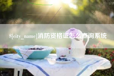 临夏消防资格证怎么查询系统